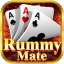what is rummy