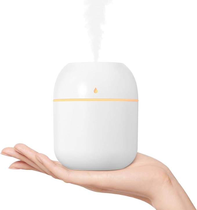 Aurora Mini Humidifier, 220 ml Desktop USB Portable Humidifier with Night Light Function, Super Quiet, 2 Mist Modes, Automatic for Office, Bedroom, Car