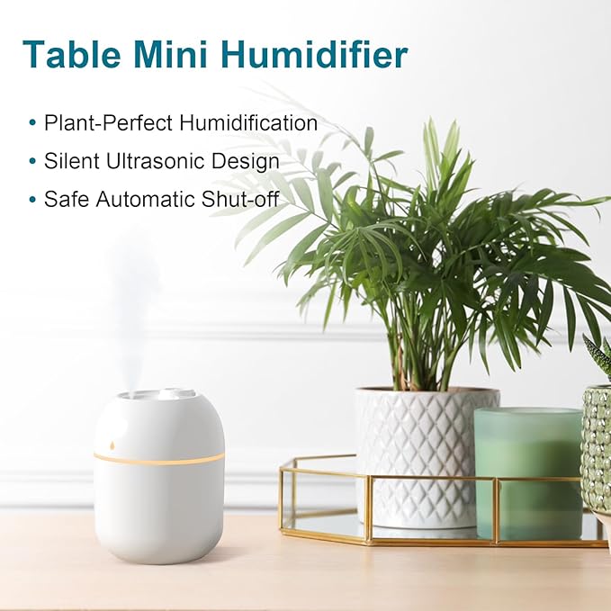 Aurora Mini Humidifier, 220 ml Desktop USB Portable Humidifier with Night Light Function, Super Quiet, 2 Mist Modes, Automatic for Office, Bedroom, Car